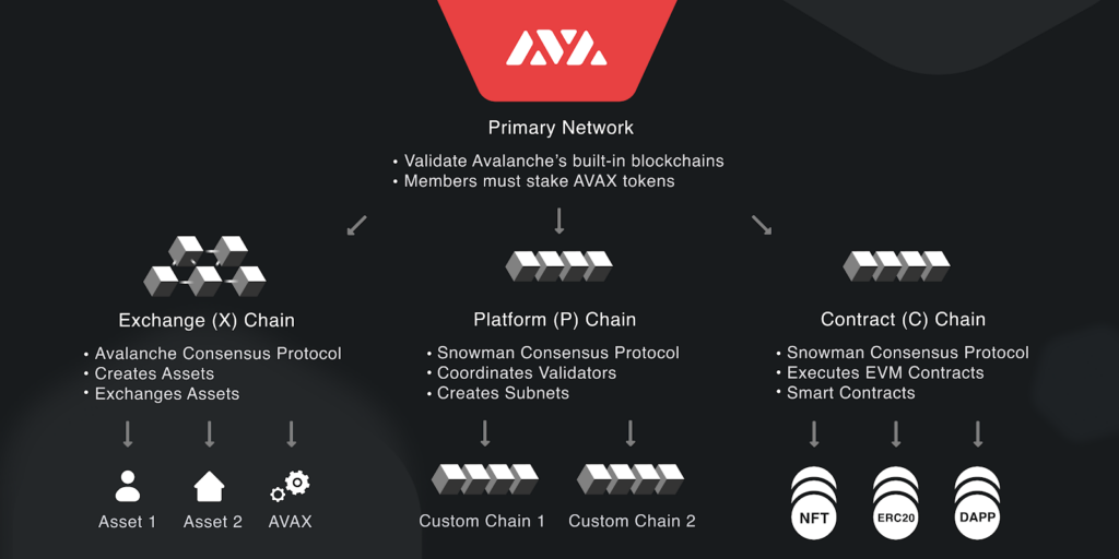 ava network