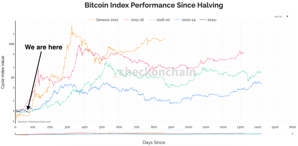 bitcoin after halving