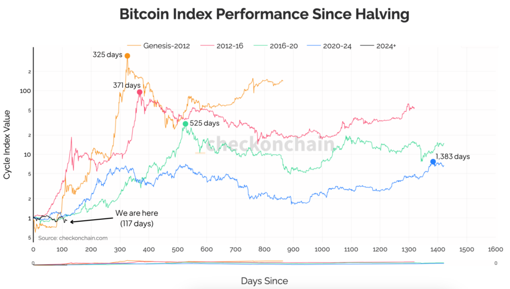 btc index since halving august 2024