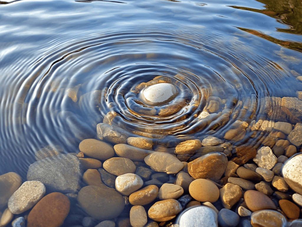 pond ripple pebble