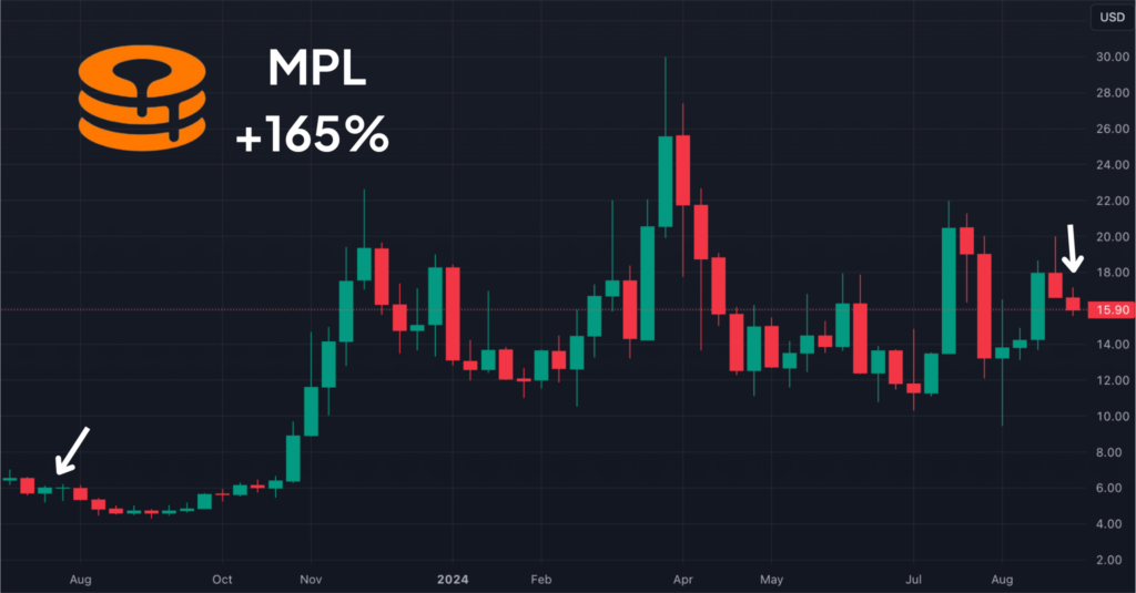 maple chart from july 2023 to september 2024