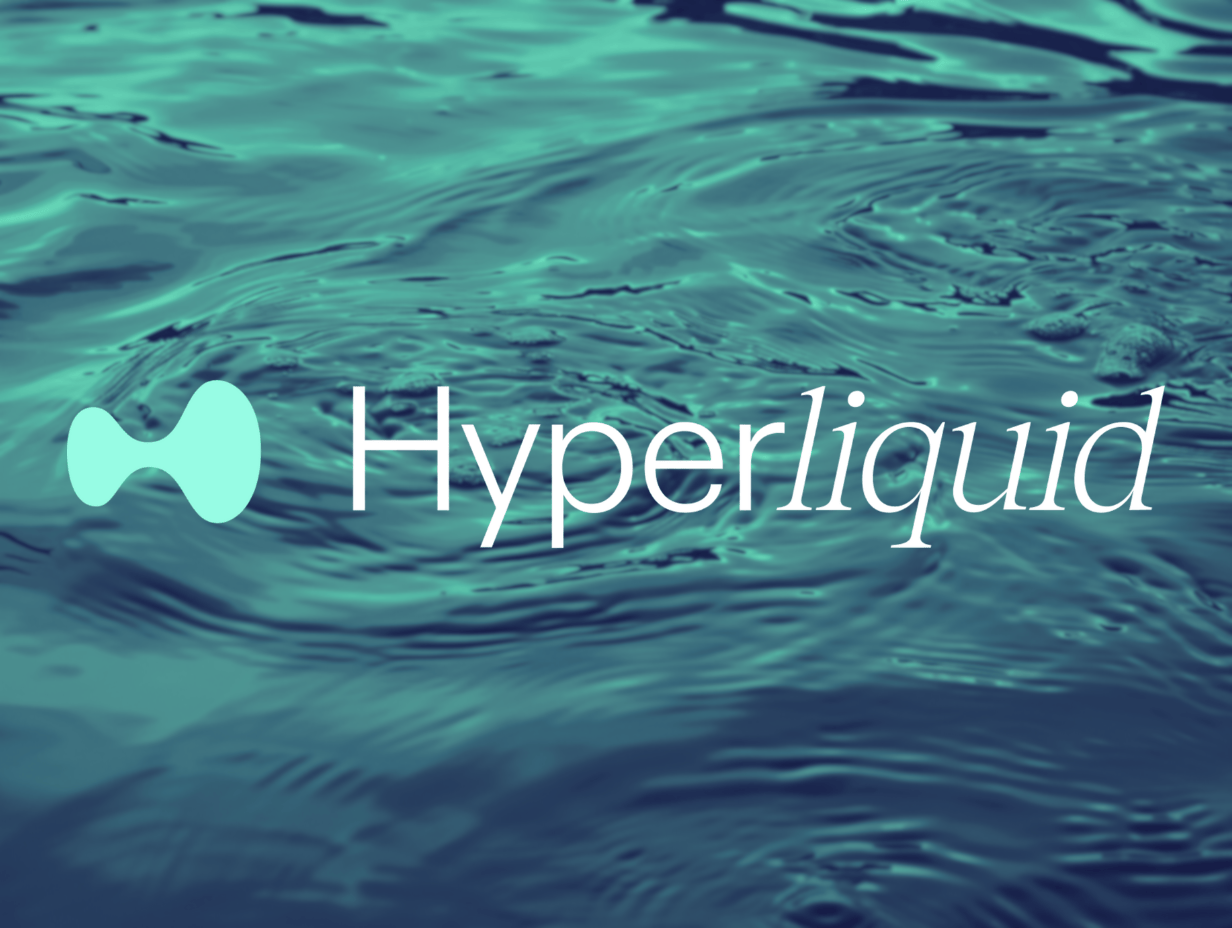 Hyperliquid (HYPE): Update After Rough Few Months